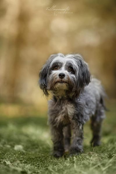 Ebony - freundlich&aktiv