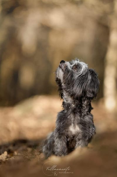 Ebony - freundlich&aktiv