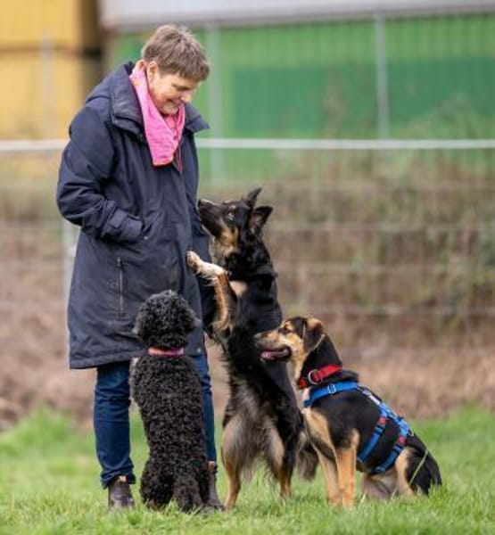 Hazel wartet in 65462 Ginshheim-Gustavs.