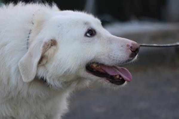 Maly - perfekt für Familie mit Kindern