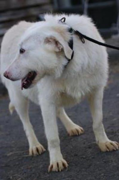 Maly - perfekt für Familie mit Kindern