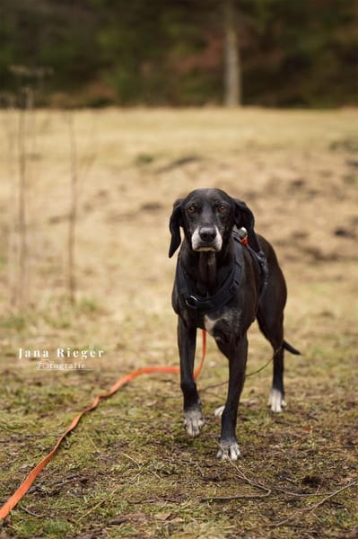 Tammy möchte endlich ankommen