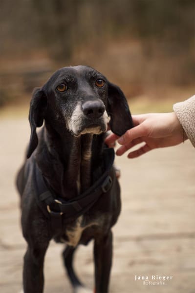 Tammy möchte endlich ankommen