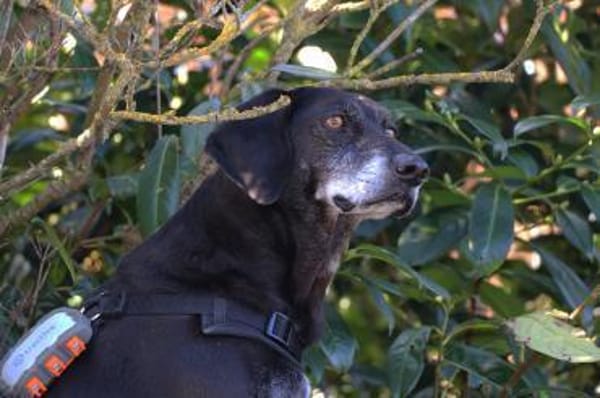 Tammy möchte endlich ankommen