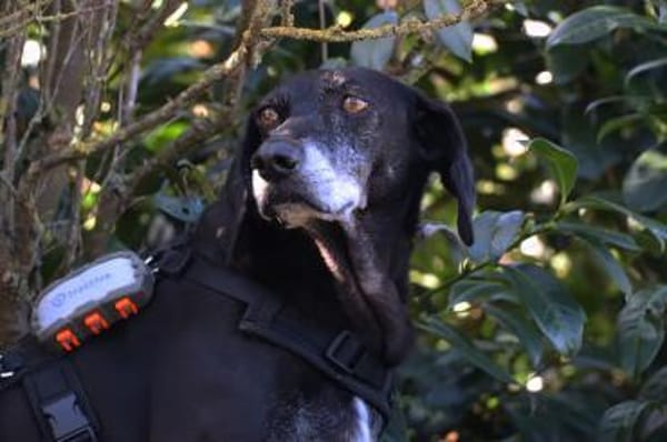 Tammy möchte endlich ankommen