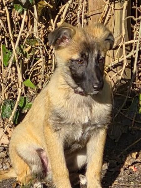 Wunderschöne Mavi sucht ihr Glück: Mavi