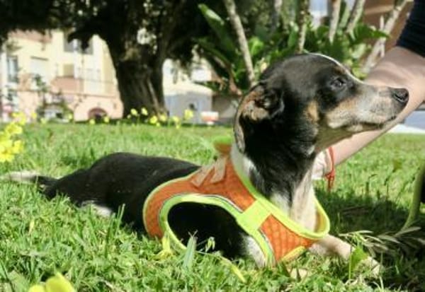 Laila, zart, menschenbezogen, offen