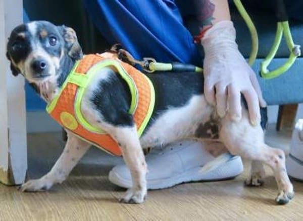 Laila, zart, menschenbezogen, offen