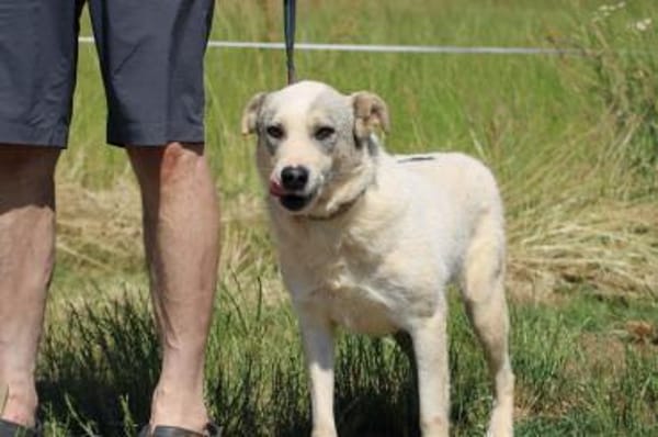 Omina - kinderlieb u. zutraulich