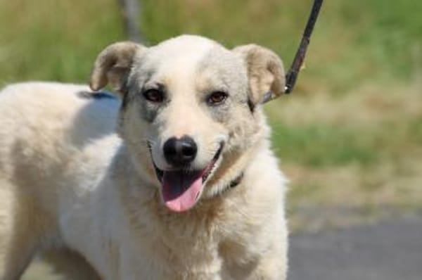 Omina - kinderlieb u. zutraulich