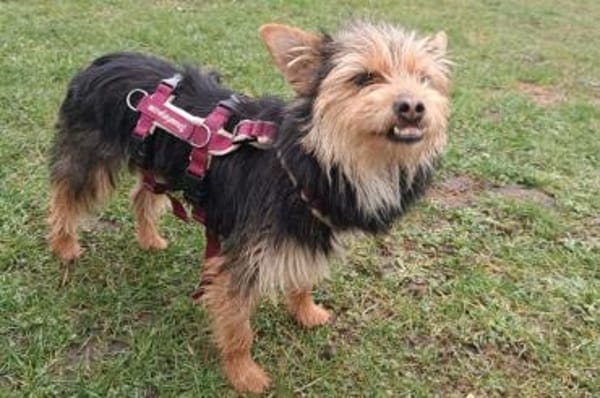 Luciana - wartet in Köln