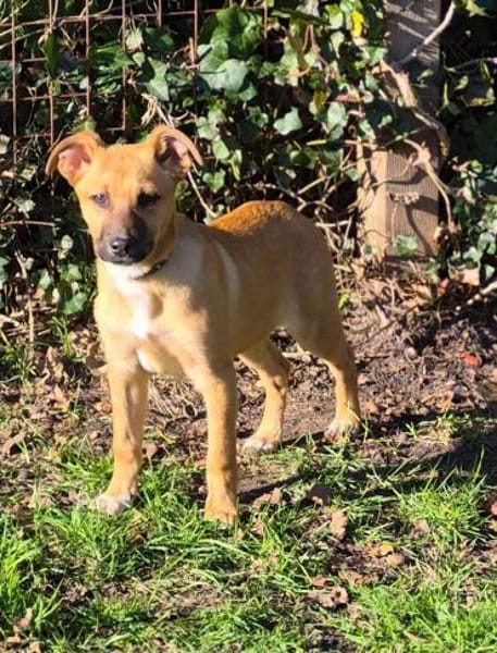 Sontje = die Sonne, wäre nun bereit für