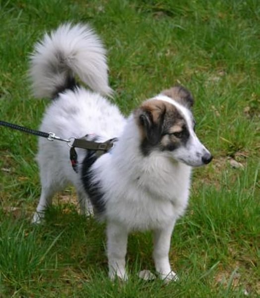 Pünktchen - eine feinfühlige Entdeckerin