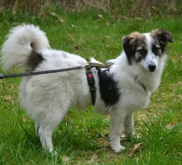 Pünktchen - eine feinfühlige Entdeckerin