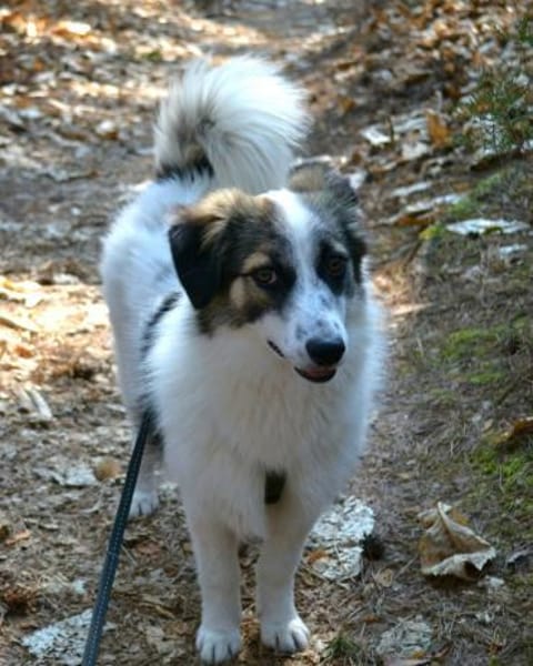 Pünktchen - eine feinfühlige Entdeckerin