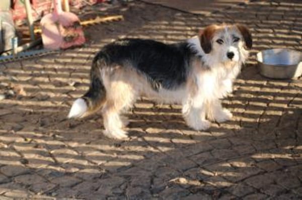 Tusko - angenehm u. lieb