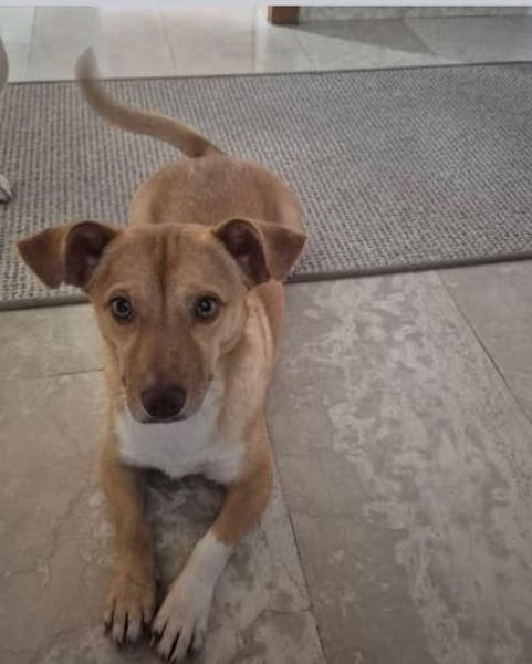 Andrea - ein Sonnenschein (I)