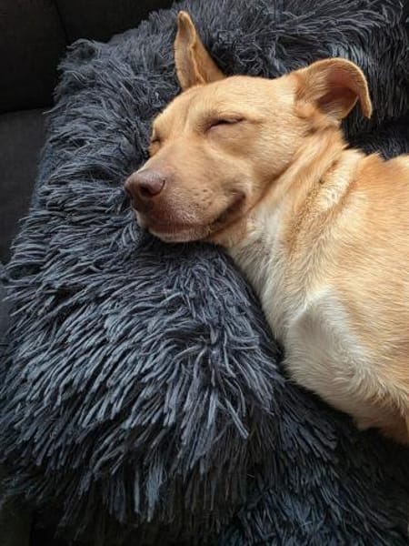 Andrea - ein Sonnenschein (I)