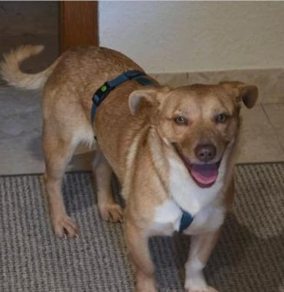 Andrea - ein Sonnenschein (I)