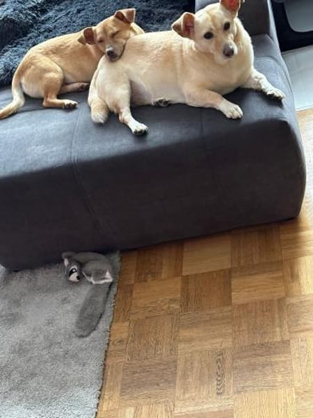 Andrea - ein Sonnenschein (I)