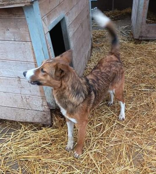 Cody möchte gerne reisen