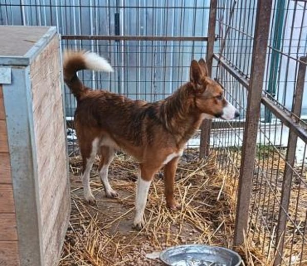 Cody möchte gerne reisen