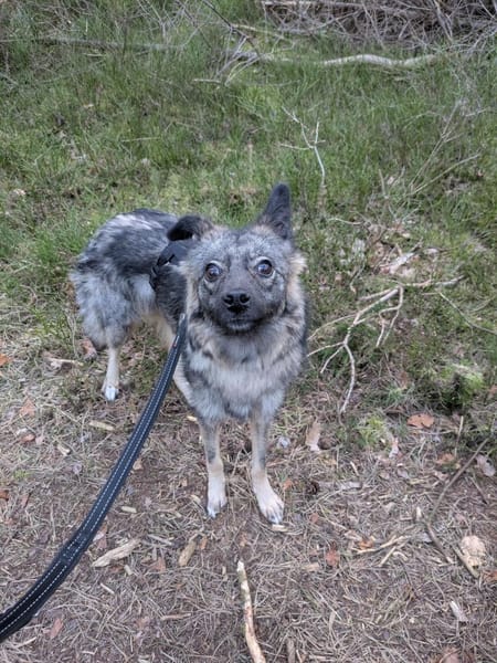 Sanfte liebe Frieda 1 Jahr jung