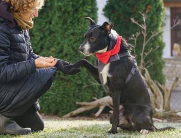 RÜBE - frecher Bube mit Charme