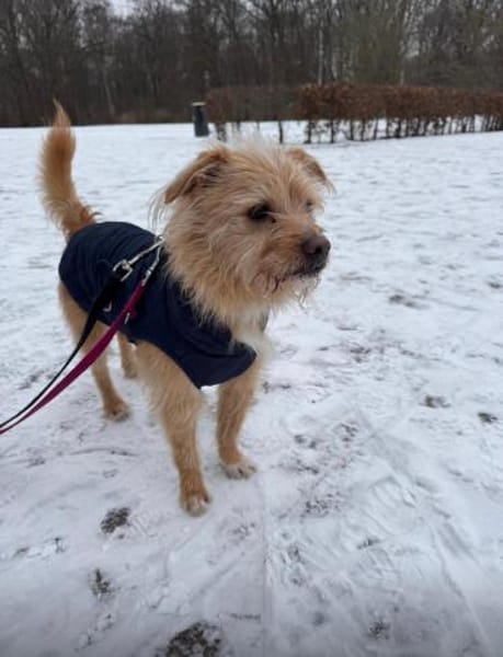 verschmuster Roger will dazugehören