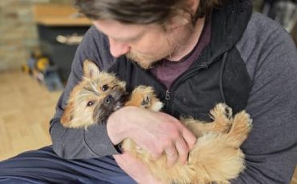 Toffee - ein echtes Goldstück