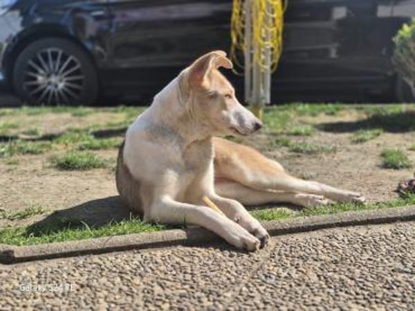 Sunny möchte strahlen