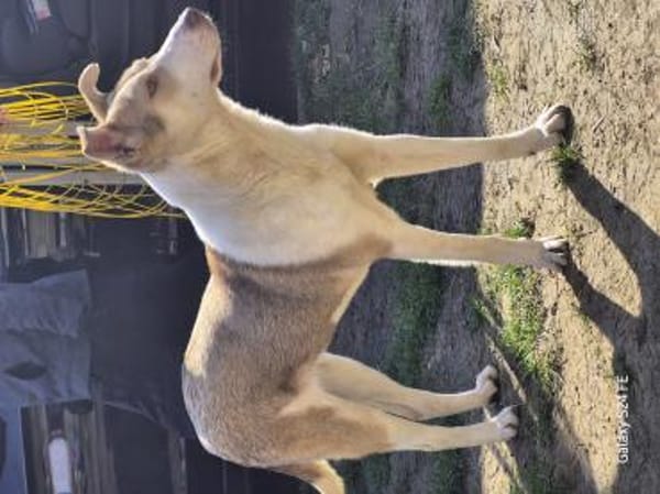 Sunny möchte strahlen