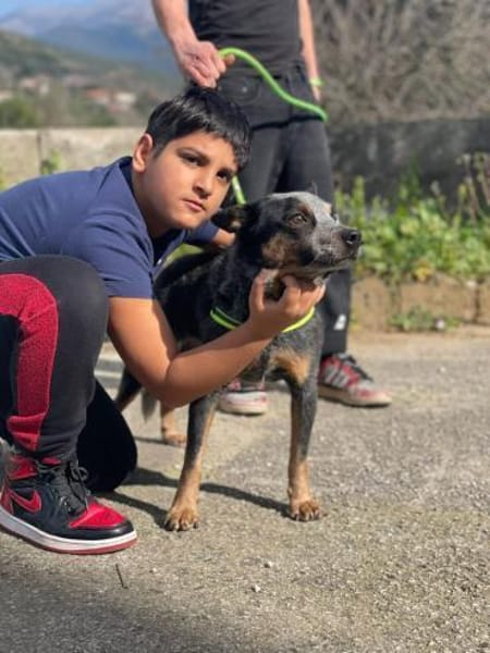 Spruzzo 💙💙💙 möchte gefallen