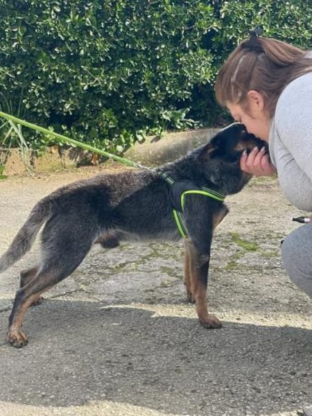 Spruzzo 💙💙💙 möchte gefallen