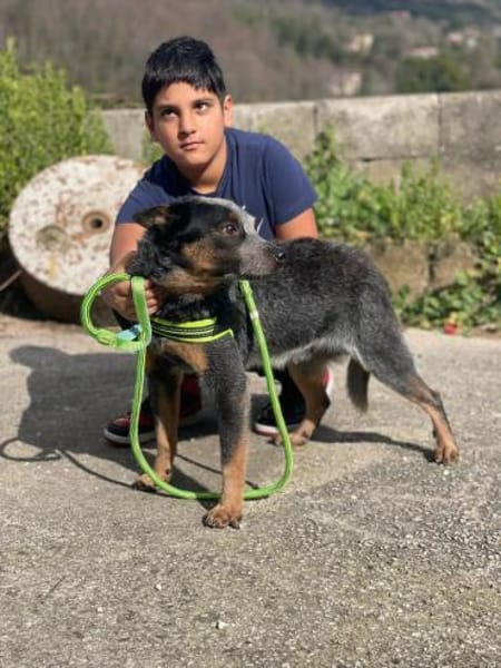 Spruzzo 💙💙💙 möchte gefallen