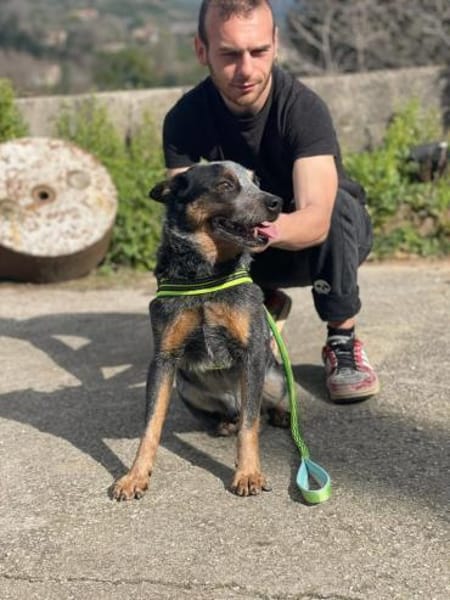 Spruzzo 💙💙💙 möchte gefallen