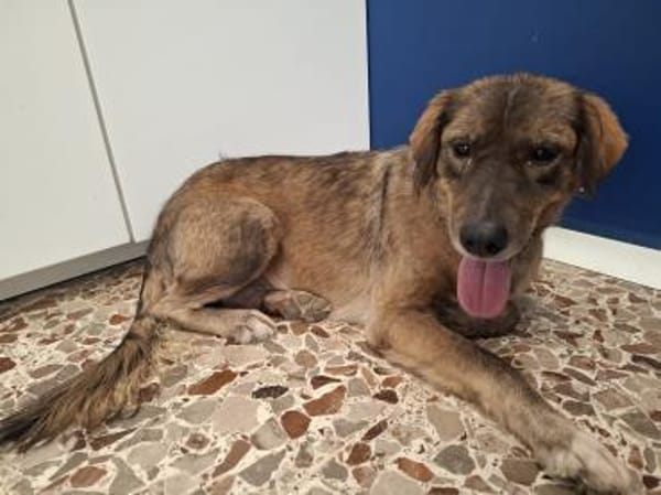 Conny 💜💜💜 aufgeschlossen, liebenswert