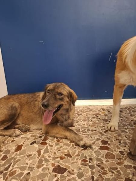 Conny 💜💜💜 aufgeschlossen, liebenswert