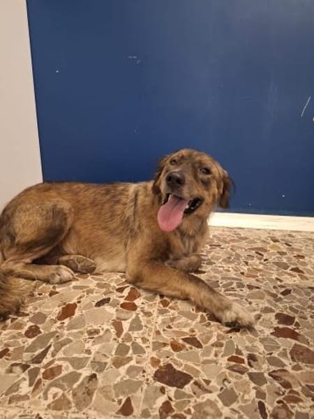 Conny 💜💜💜 aufgeschlossen, liebenswert