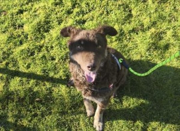 Menschenbezogene Beanie sucht dich