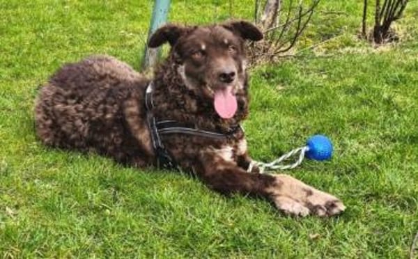 Menschenbezogene Beanie sucht dich