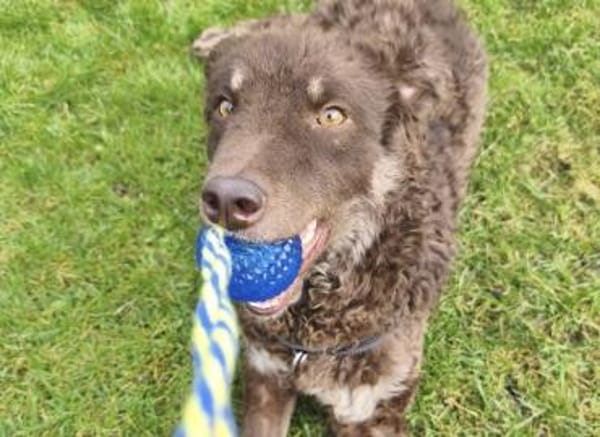 Menschenbezogene Beanie sucht dich