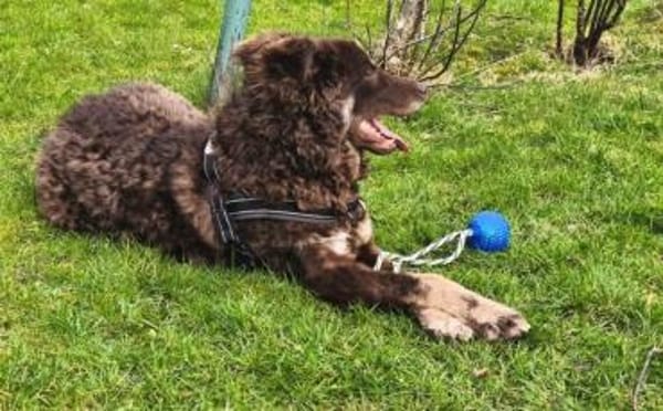 Menschenbezogene Beanie sucht dich