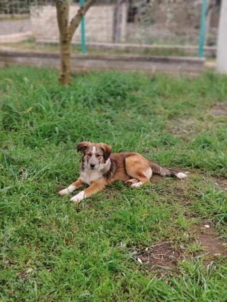 BEAN 💚💚💚 sucht Happy-Home