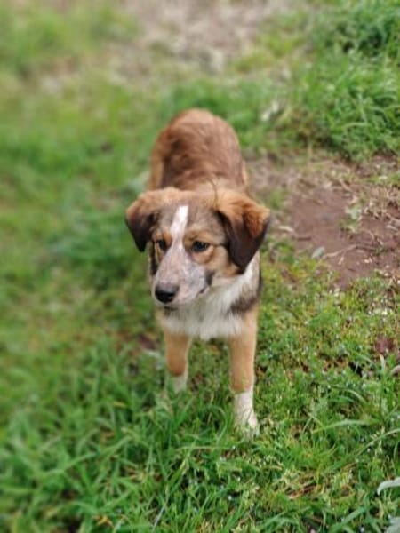 BEAN 💚💚💚 sucht Happy-Home