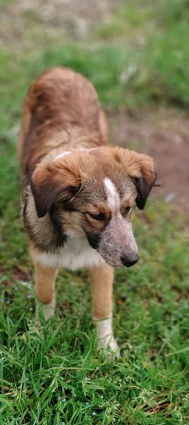 BEAN 💚💚💚 sucht Happy-Home