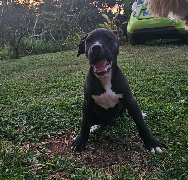 Snoopy le petit coeur tout doux