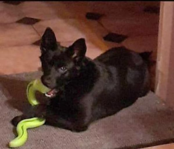 Süße Salt🌺 sucht liebevolles Heim