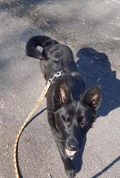 Süße Salt🌺 sucht liebevolles Heim