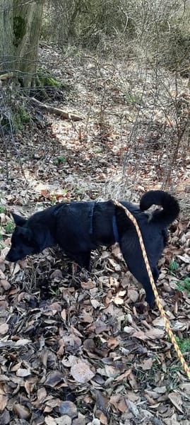 Süße Salt🌺 sucht liebevolles Heim